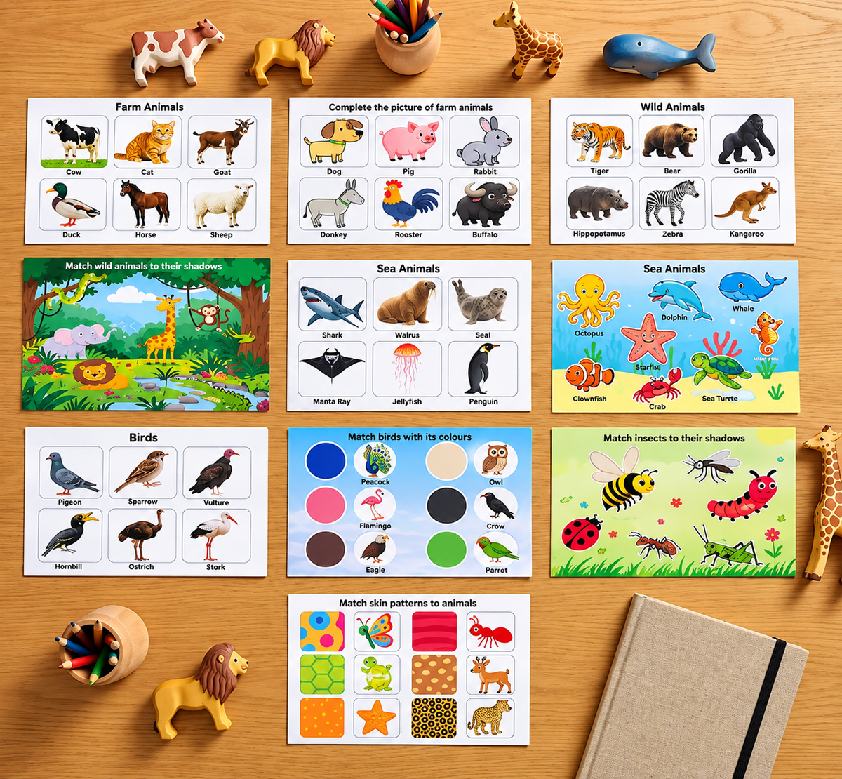 Combo 1: Starter Learning Combo (Ages 1–5)