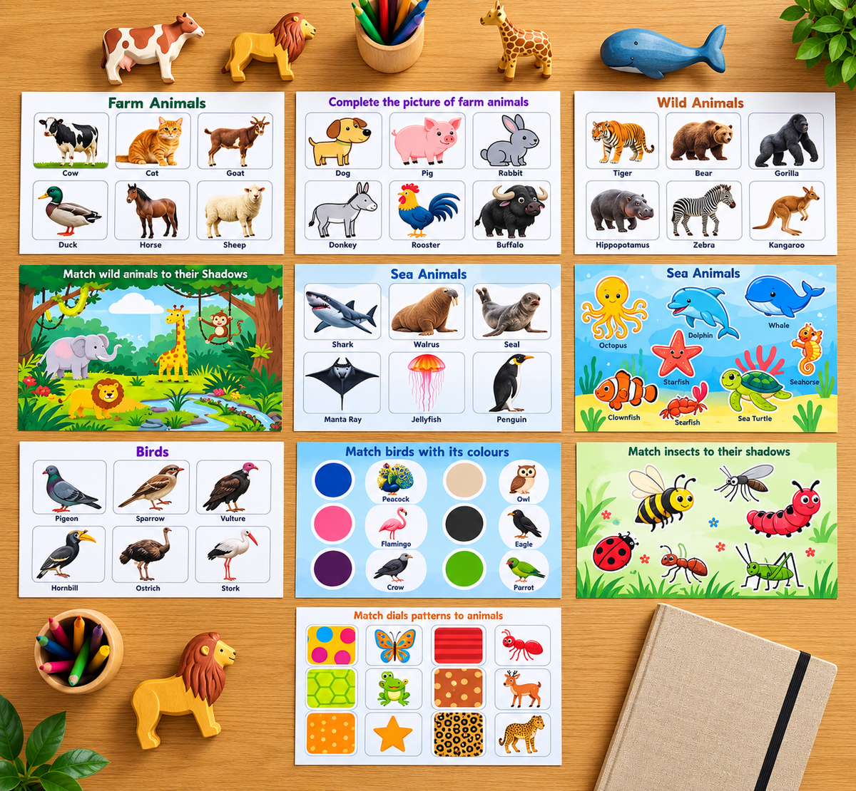 Combo 3: All-Rounder Learning Combo (Ages 1–5)