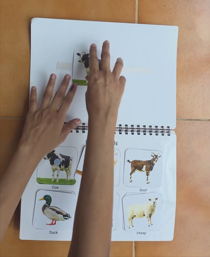 Combo 3: All-Rounder Learning Combo (Ages 1–5)